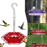 Mary's Hummingbird Feeder With Perch And Built-in Ant Moat