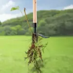Detachable Stand-Up Weed Remover (Best Selling 2025) - Image 6